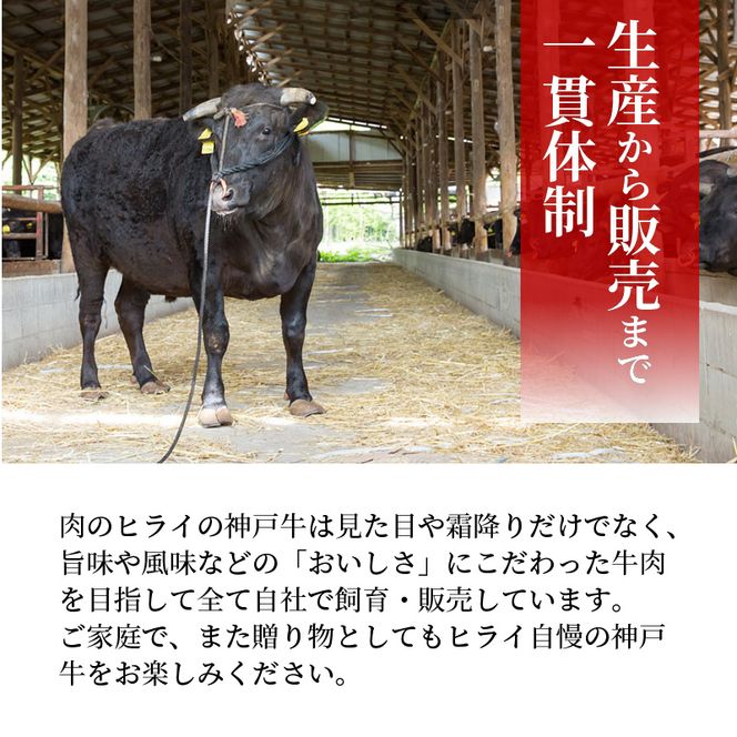 神戸牛赤身すき焼き・しゃぶしゃぶ(500g)《 神戸牛 自社牧場直送 肉のヒライ すき焼き しゃぶしゃぶ 国産 送料無料 お取り寄せ 肉 牛肉 美味しい おすすめ 》