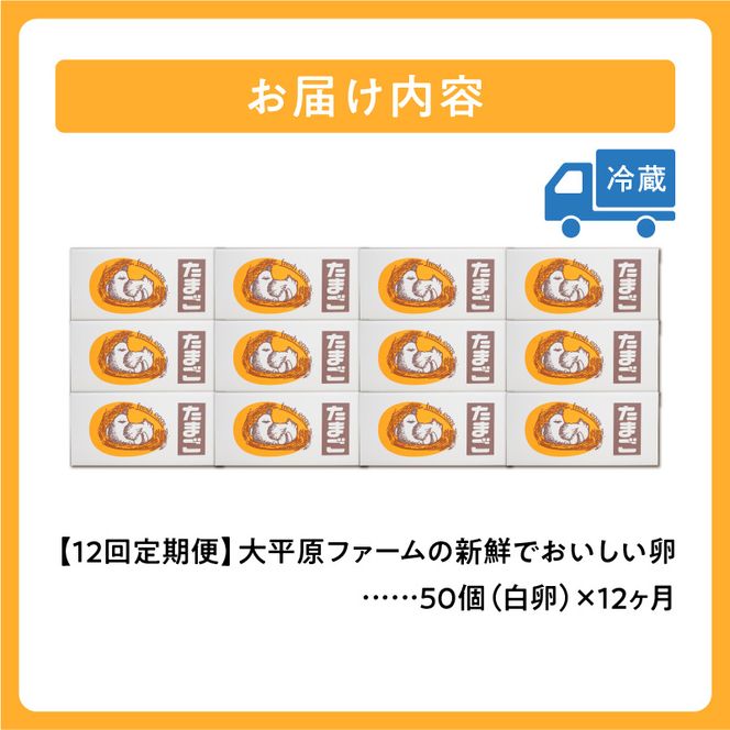 【12回定期便】大平原ファームの新鮮でおいしい卵 計50個(白卵)×12ヶ月_S035-0022