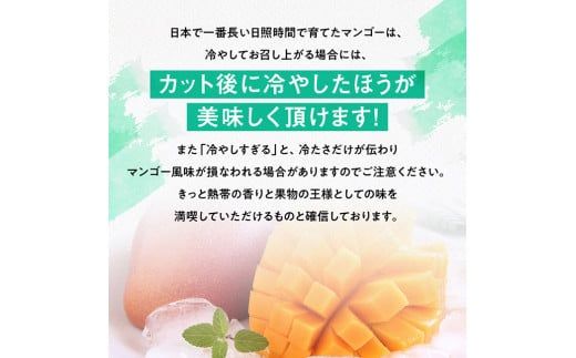 【令和8年発送】宮崎県産完熟マンゴー　三國農園　完熟マンゴー2L×3玉 【 果物 フルーツ マンゴー 宮崎県産 完熟マンゴー みやざきマンゴー 】 [C08301]