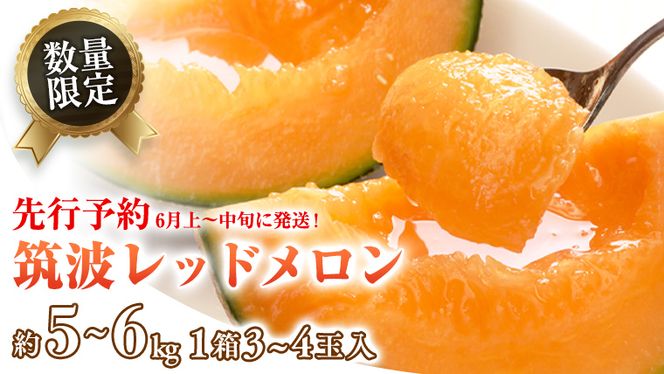 y錧㒬z}gbh 1 3 ` 4 i  5kg ` 6kg jy2026N6{ȍ~z ԓ@ʌ  bh  ԓ Â Ԍ Yn ʕ t[c [BU002ya]