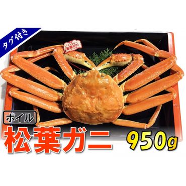 1541【魚倉】タグ付きボイル松葉ガニ(特大950g)