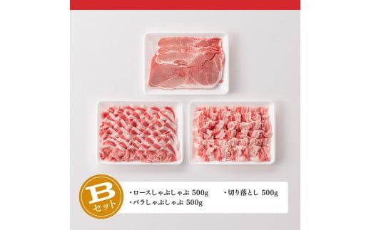 ※内容が選べる！※宮崎県産豚肉 小野さんちの豚しゃぶ＆切り落とし 計1.5kg 【 豚肉 豚 肉 国産 九州産 選択 ３通り 】 [E10502]