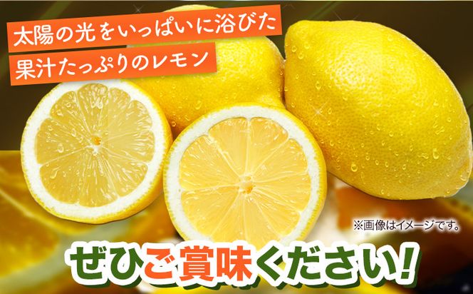【秀品】紀州 有田産 レモン 約 2.5kg 魚鶴商店《3月上旬-3月下旬頃出荷》和歌山県 日高町 柑橘 レモン れもん lemon remon 果物 有田 はちみつレモン---wsh_uot236_3j3g_26_15000_25---