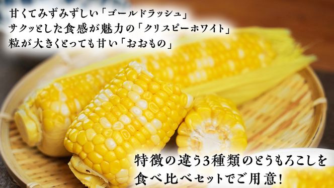 【 先行予約・7月中旬以降発送 】 【 訳あり 】 加熱調理済み 真空 とうもろこし 3品種 食べ比べ セット（ ゴールドラッシュ＆クリスピーホワイト＆おおもの ） 約3kg トウモロコシ 食べくらべ 無添加 保存料不使用 真空パック 甘い 新鮮 [AU076ya]