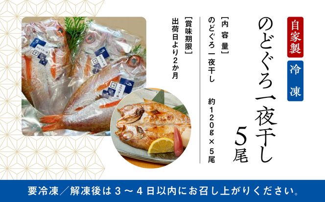 【日本海の高級魚】のど黒一夜干し詰合せ 120g×5尾 030002