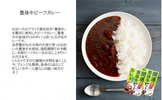 開運！豊後牛ビーフカレー2箱＆バターチキンカレー2箱（計4箱）_2424R