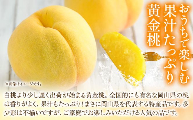 ご家庭用 おかやまの黄金桃 約1.8kg 令和6年産 先行予約 《8月下旬-9月中旬頃出荷(土日祝除く)》 桃 黄桃 黄金桃 晴れの国おかやま館 フルーツ 果物 果実 岡山県 笠岡市---A-180c---