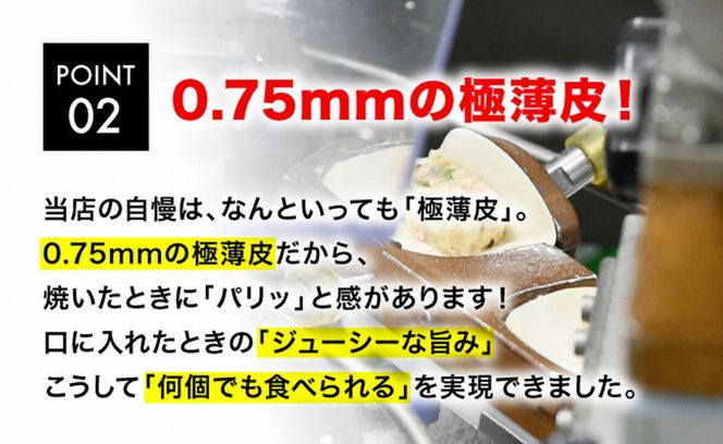 「宇都宮餃子館」スタミナ健太餃子 960g（48個）≪ギョーザ 冷凍餃子 冷凍食品 グルメ 食品 惣菜 中華惣菜 点心 中華≫