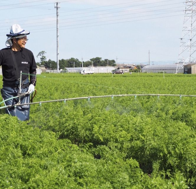 ＜フジテレビ『どっちのふるさと？』で紹介されました！＞ こどもも食べられる甘み！ジュースにしても美味しい！「マドンナキャロット」 10kg にんじん 野菜 H105-123