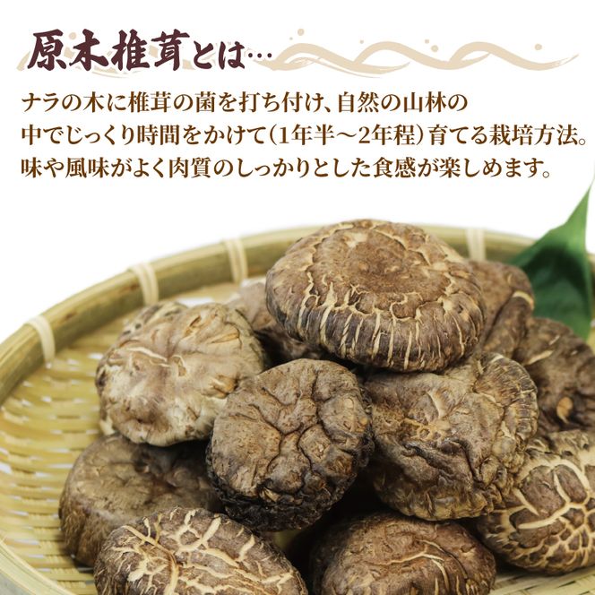 しいたけ 原木椎茸 200g (100g×2) 香信 こうしん 干し椎茸 しいたけ 椎茸 siitake きのこ 茸 大船渡市 岩手県 三陸 [56500216]	
