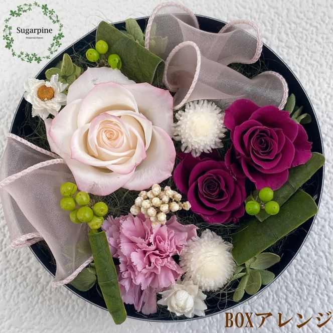 yʌtszAJ075-1 vU[uht[AWyK/{h[zts VK[pC