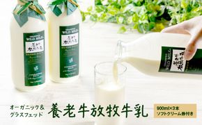 オーガニック＆グラスフェッド養老牛放牧牛乳900ml×3本 《ソフトクリーム券付き》【13001】