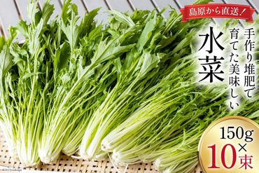 【BH016】水菜 150g×10束