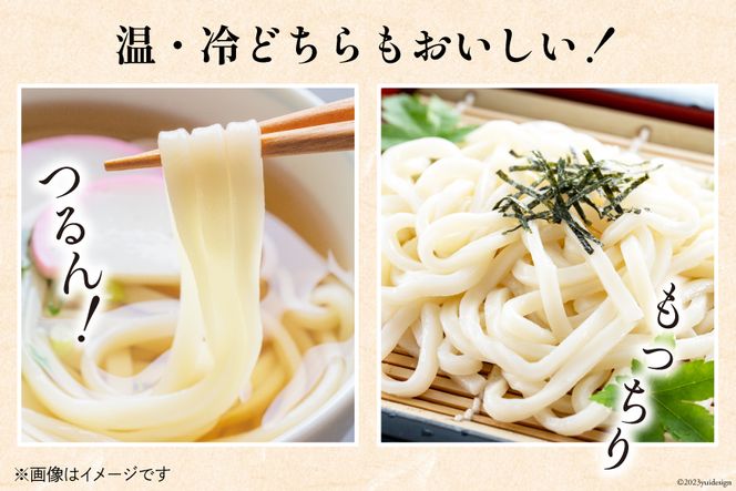 うどん 麺 古式熟成 手打ち 生うどん 300g 8パック めんつゆ 500ml セット [ 武州めん 埼玉県 小川町 003] 麺 饂飩 手作り 生麺 冷蔵 2人前 8食