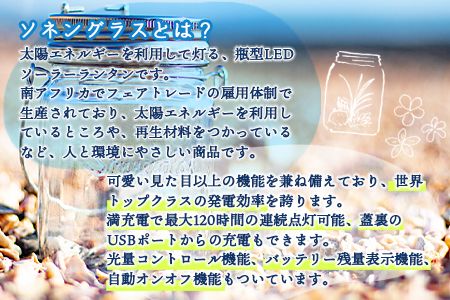 ＜ボタニカルアート ソネングラス＞翌月末迄に順次出荷【a0348_at_x4】