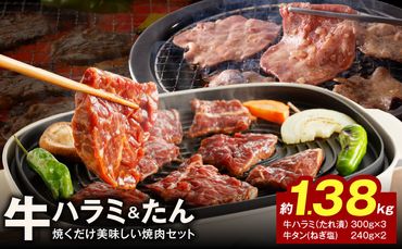 G1161 大人気 ファミリー向け 焼肉セット 牛たん 牛ハラミ肉 総量1.38kg