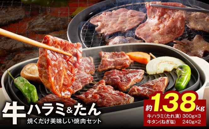 099H3152 大人気 ファミリー向け 焼肉セット 牛たん 牛ハラミ肉 総量1.38kg