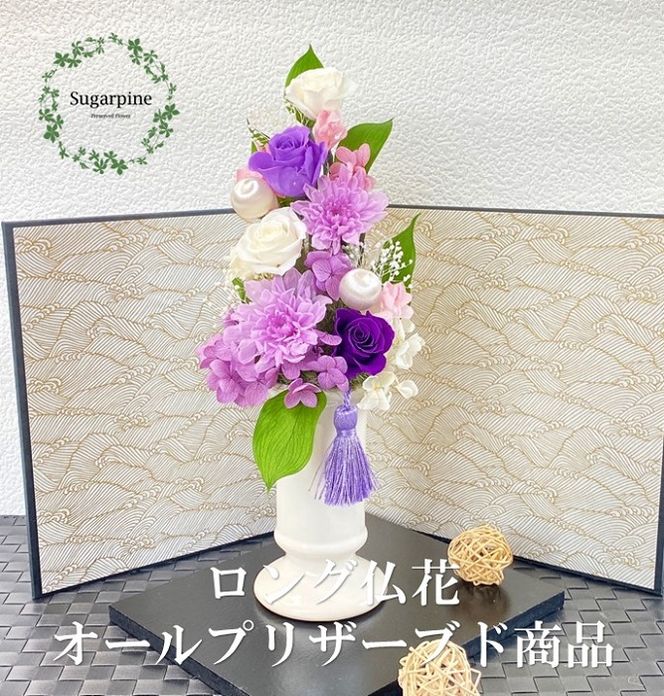 yʌtszAJ084-2 vU[uht[AWy/zts VK[pC