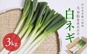 【先行予約】 産地直送・新鮮！ 白ネギ 3kg 西日本有数の産地で育った白ねぎ 長ネギ ネギ ねぎ 野菜 鍋 長ねぎ 葱 0B1-01
