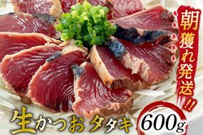 朝獲れ 産地直送 冷蔵便 生かつおタタキ 600g タレ付 真空パック [阿部長商店 宮城県 気仙沼市 20564103] 冷蔵 鮮魚 魚 かつお カツオ 鰹 刺身 冷蔵 季節限定 カツオタタキ かつおタタキ