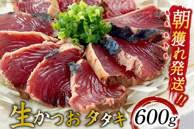 朝獲れ 産地直送 冷蔵便 生かつおタタキ 600g タレ付 真空パック [阿部長商店 宮城県 気仙沼市 20564103] 冷蔵 鮮魚 魚 かつお カツオ 鰹 刺身 冷蔵 季節限定 カツオタタキ かつおタタキ