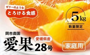 【先行予約】【数量限定】＼農園直送／愛媛県産 愛果28号（家庭用） 5kg×1箱（サイズ混合）◆｜柑橘 みかん ミカン 蜜柑 紅 まどんな と同品種 果物 フルーツ 愛媛県産 ※2024年12月中旬頃～2025年1月中旬頃に順次発送予定