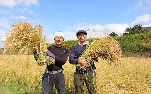 先行予約】京都府・亀岡産 令和6年産 栽培期間中農薬不使用 自然栽培米