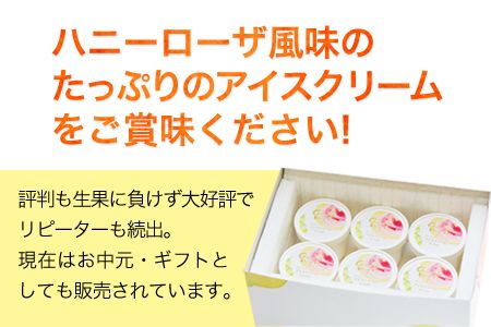 ハニーローザアイスクリーム 120ml×8個《30日以内に出荷予定（土日祝除く）》熊本県 玉東町 ぷらっとぎょくとう ハニーローザ アイスクリーム すもも スイーツ お菓子---sg_fhoneyrosa_30d_24_14000_960ml---