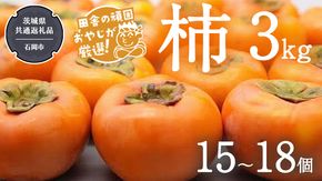 柿 3kg（15〜18個）【令和6年10月より発送開始】（茨城県共通返礼品：石岡市産） 果物 フルーツ 茨城県産 [BI428-NT]