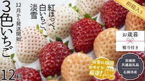 【 お歳暮 熨斗付 】【 桐箱入り 】大粒３色いちご 12粒【令和6年12月から発送開始】（県内共通返礼品：石岡市産） いちご イチゴ 苺 白イチゴ 白いちご [BI382-NT]