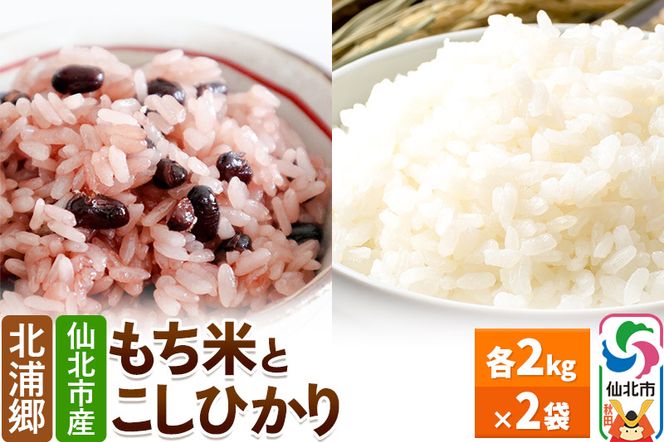 仙北市産 もち米とこしひかりのセット 令和6年産 新米 先行受付 各2kg 2袋|02_kum-010401