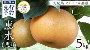 【 先行予約 】 茨城県 オリジナル 品種の 恵水 ( 梨 ) 5kg 2026年産 果物 フルーツ なし ナシ 赤梨 贈り物 贈答 贈答用 [AE024ci]