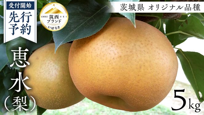 y錧}szy s\ z 錧 IWi i b (  ) 5kg 2026NY ʕ t[c Ȃ iV ԗ 蕨  p [AE024ci]