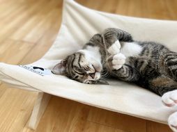 【リアルダウン使用】 ハンモックタイプの 羽毛ペットベッド　クッション 犬や猫が喜ぶ！ H162-042