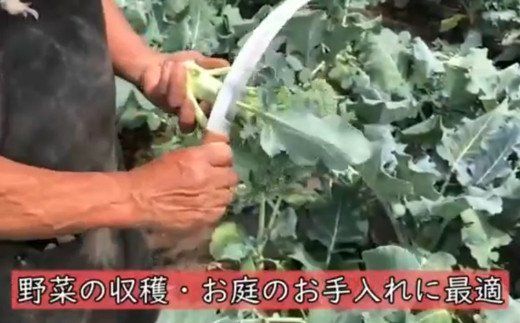 H5-21 万能収穫鎌