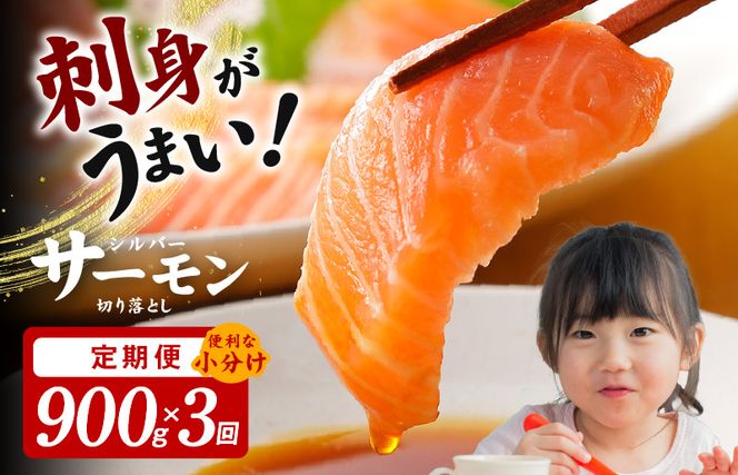y{򍲖sz099Z154 T[ ؂藎Ƃ  900g×S3yz ֗ȏ 300g×3P 󂠂 TCYs  CN lC IXX  Ⓚ ȒP l炵 m①z