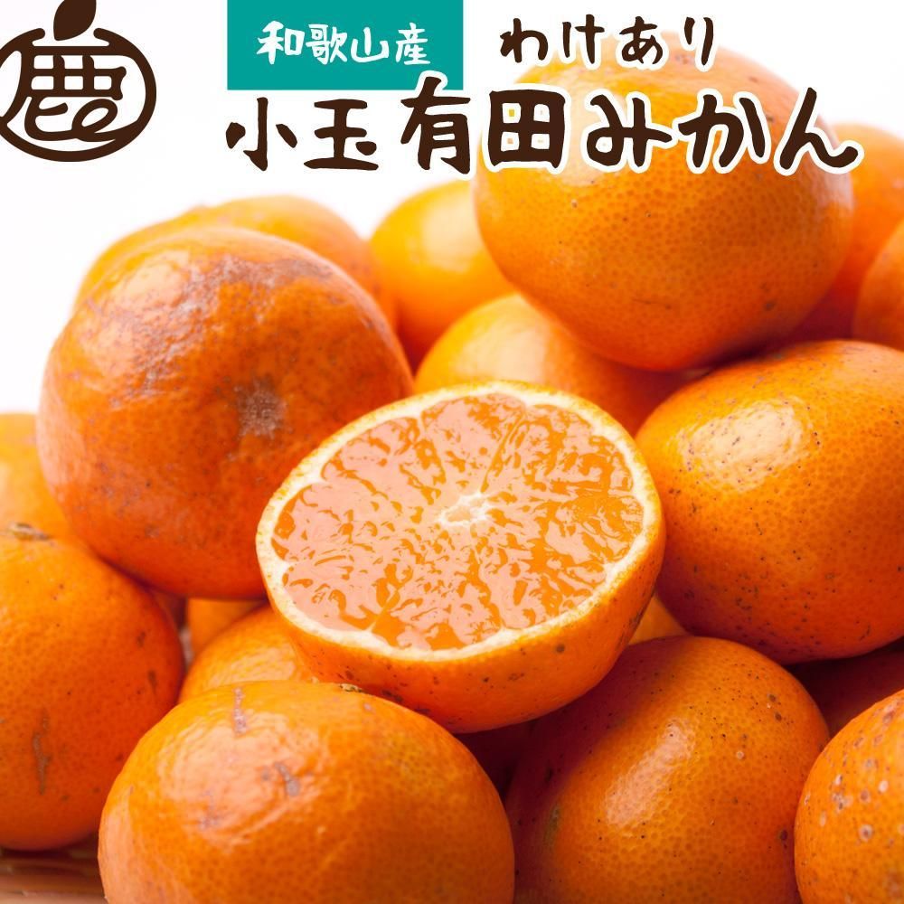 家庭用 小玉な有田みかん3kg+90g(傷み補償分)[わけあり・訳あり][光センサー選果][11月より発送] CZ017ZZ