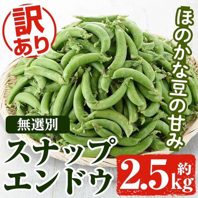 訳あり＞鹿児島県産 スナップエンドウ(約2.5kg) 国産 野菜 スナップ