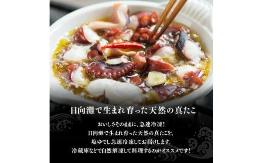 y{茧쒬zIVR^Riρj1kgO y   CY  nǂ z [C01709]