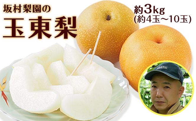 坂村梨園 玉東梨 熊本県玉名郡玉東町 約3kg(4～10玉前後) 梨 なし 果物 旬の梨 《8月中旬-11月上旬頃出荷》---sg_cmuranashi_g811_r8_12000_3kg---