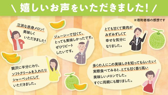 先行予約 ほのかメロン 秀品（ 赤肉 ） 4玉 ～ 5玉 ( 2L ～ 3L  )【 6月上旬 以降発送】  メロン 果物 フルーツ 甘い 茨城県 茨城県産 期間限定 数量限定 産地直送 農家直送 [AV001ya]