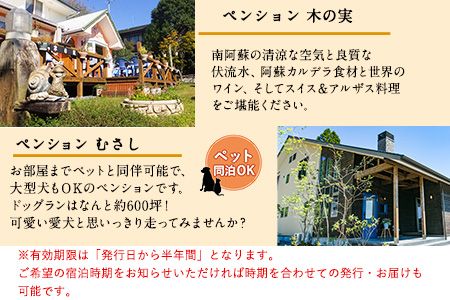 【選べる7施設】南阿蘇のペンション ペア1泊2食付き宿泊券／ペット同伴OKの宿も有り《30日以内に出荷予定(土日祝を除く)》 熊本県南阿蘇村 ギフト 旅館 温泉 一般社団法人みなみあそ観光局---isms_mskanpen_30d_r7_90000_2p---