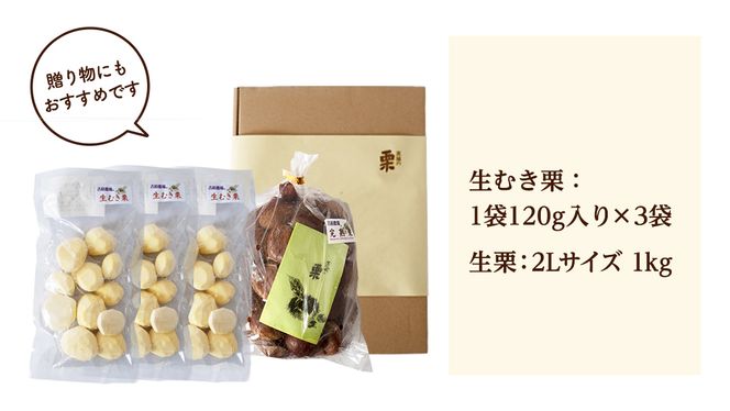 【 吉原農場 の 完熟栗 】 熟成 生栗 2Lサイズ 1kg ・ 生むき栗 3袋（1袋あたり120g） セット 令和7年産  完熟 栗 くり クリ 栗ごはん 贈答 ギフト 果物 フルーツ 数量限定 旬 秋 冬 正月 おせち [CX011ci]