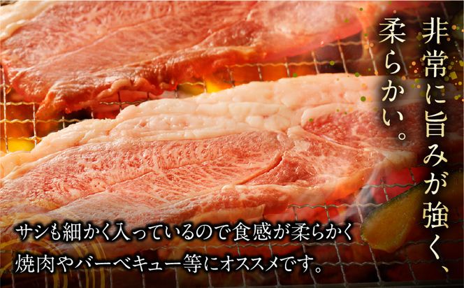 宮崎県産黒毛和牛 カルビ一枚肉【厚め】1.0kg_M243-024