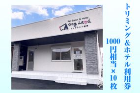 トリミング＆ホテル利用券1000円相当×10枚 [No.354]