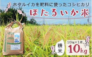 【訳あり】ほたるいか米（精米10kg）【通年発送】