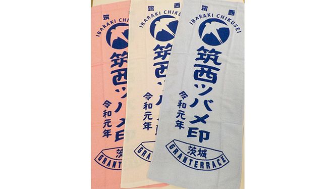 道の駅 「 グランテラス筑西 」 限定 グッズ セット （ Tシャツ ・ ネイビー XLサイズ ） [BW054ci] 