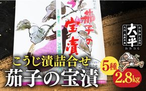 茄子 の 宝漬 （こうじ漬 詰合） / 漬物 なす こうじ きゅうり 大根 生姜 瓜 もろみ / 南島原市 / 大平食品[SAK003]