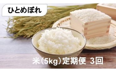 【定期便3回】奇跡の米「大槌復興米」5キロ【0tsuchi01145】