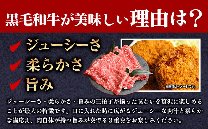 メンチカツ 黒毛和牛メンチカツ 約120g×6個 絶品 ブランド牛 黒毛和種 有限会社トップルーフ《30日以内に出荷予定(土日祝除く)》熊本県 大津町 送料無料---so_ftoplmnck_30d_23_13500_6p---